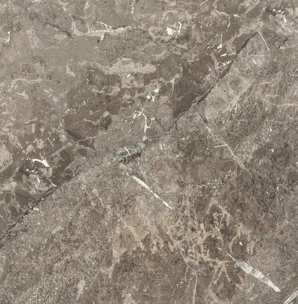 פלטה HPL ציפחה וניס 460